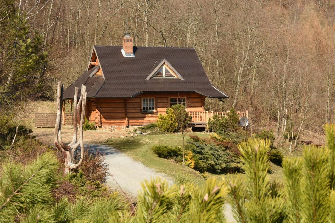 Vila Lesne Uroczysko Cisna Exteriér fotografie