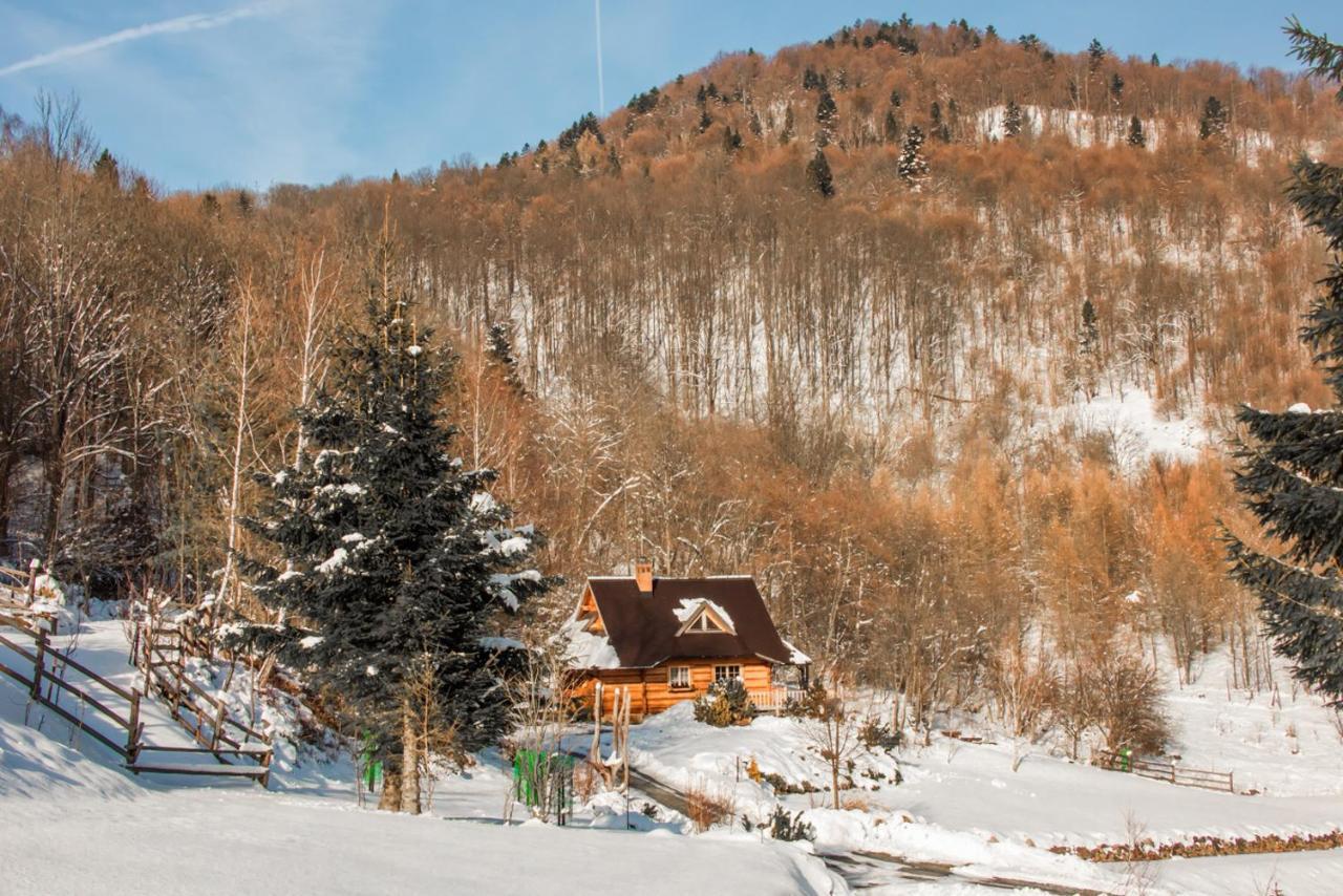 Vila Lesne Uroczysko Cisna Exteriér fotografie